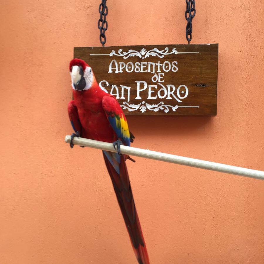 Готель Aposentos De San Pedro Cartagena Екстер'єр фото